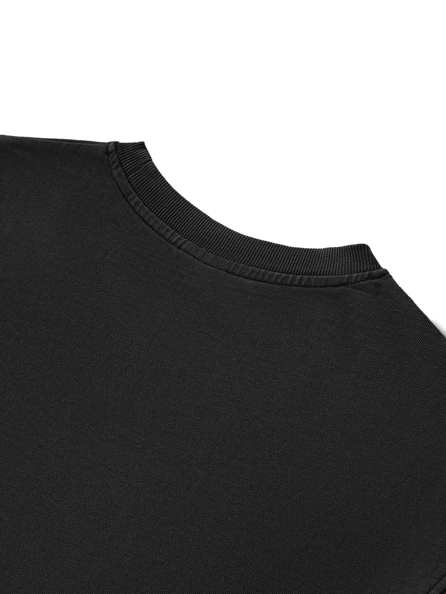 0943 Snow Washed Raw Edge Crop Top